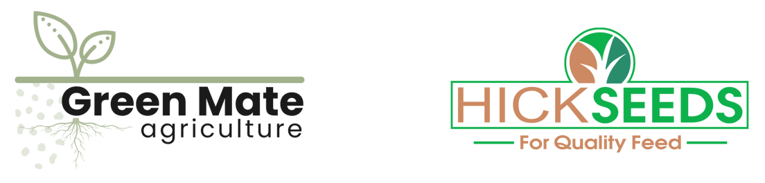 GMA - HS Joint Logo